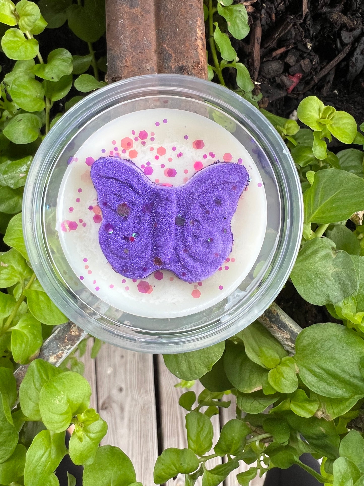 Butterfly 🦋